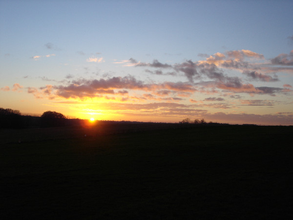 DSC00535