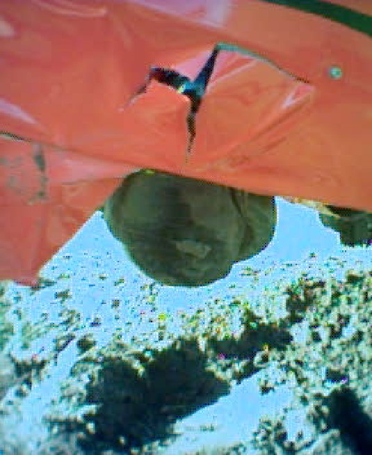 Billede 7 
