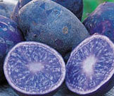 Natural blue potatoes